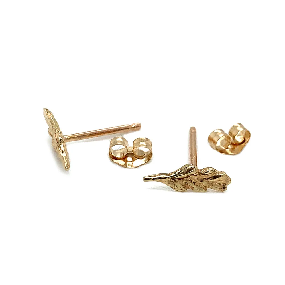 14K Yellow Gold Stud Earrings - "Fern"