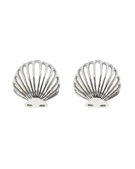 Delicate Shell Stud Earrings in Silver