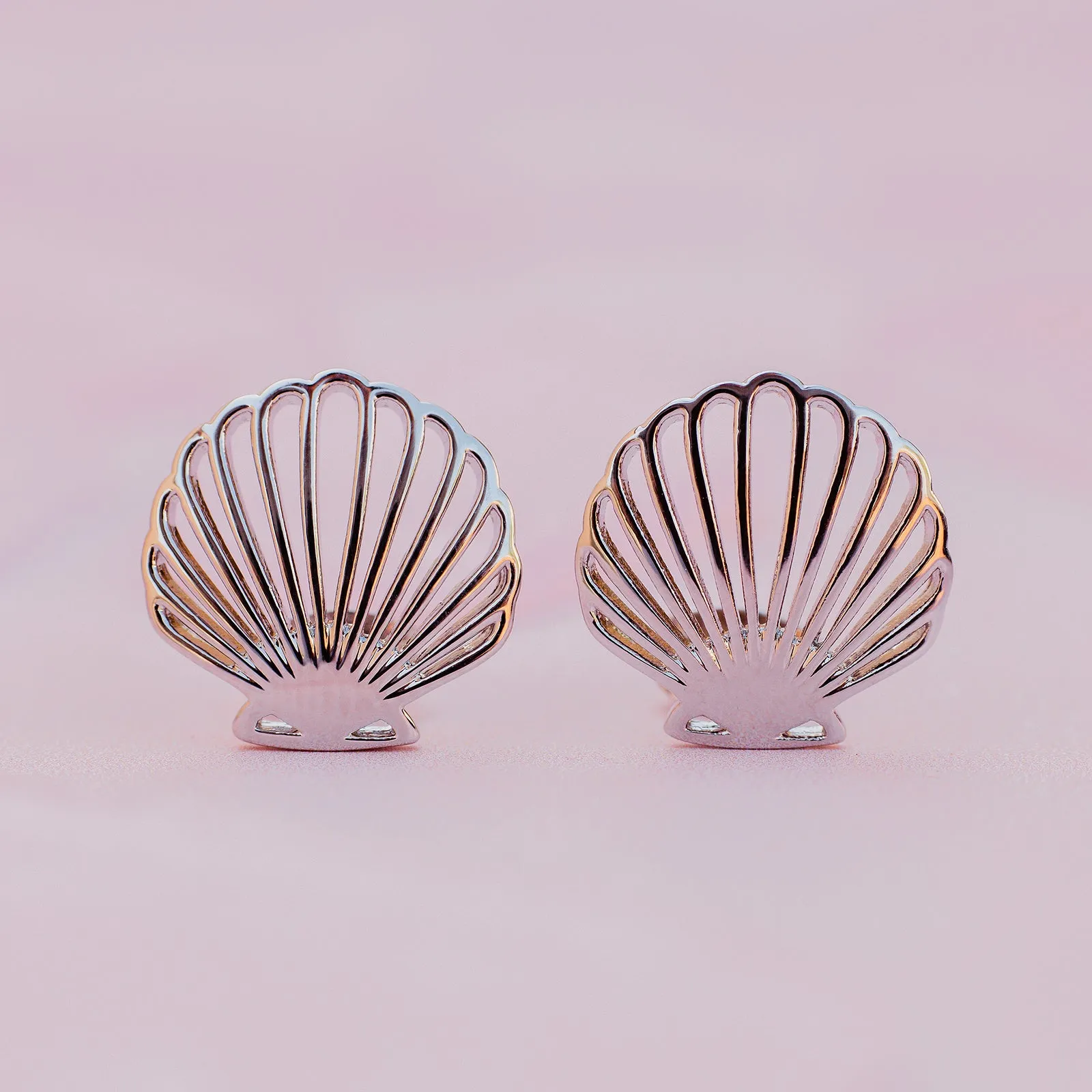 Delicate Shell Stud Earrings