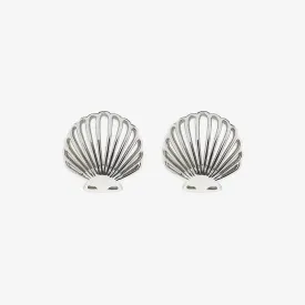 Delicate Shell Stud Silver Earrings